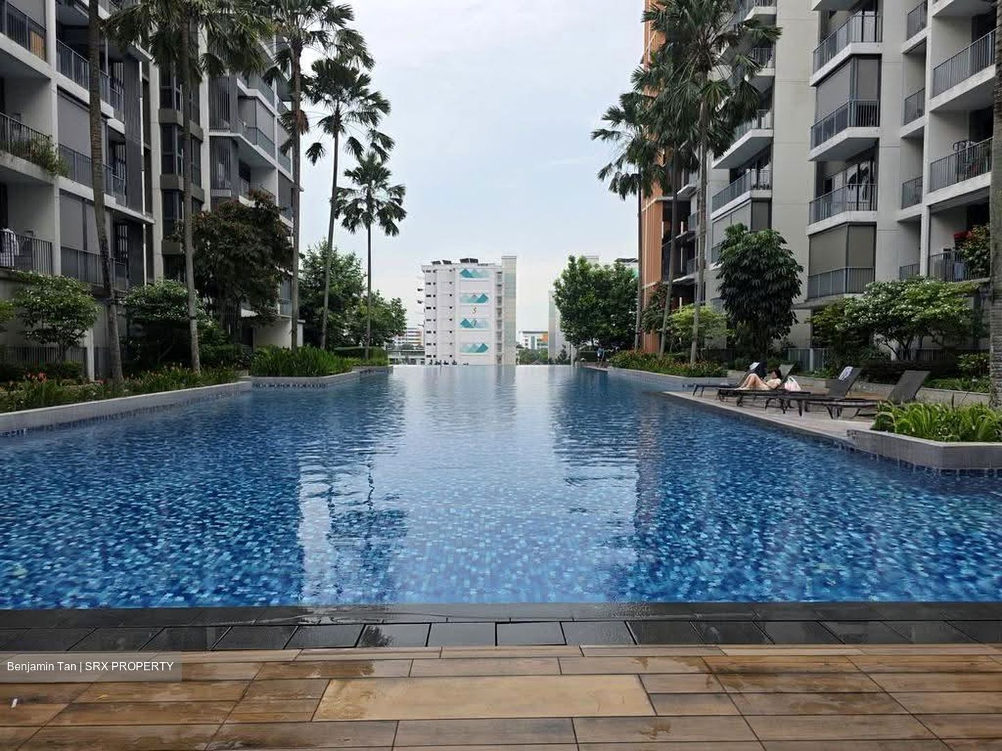 North Park Residences (D27), Apartment #619389821